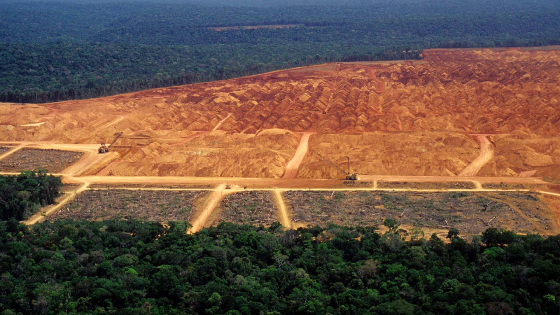 Deforestation Square In Amazonas
