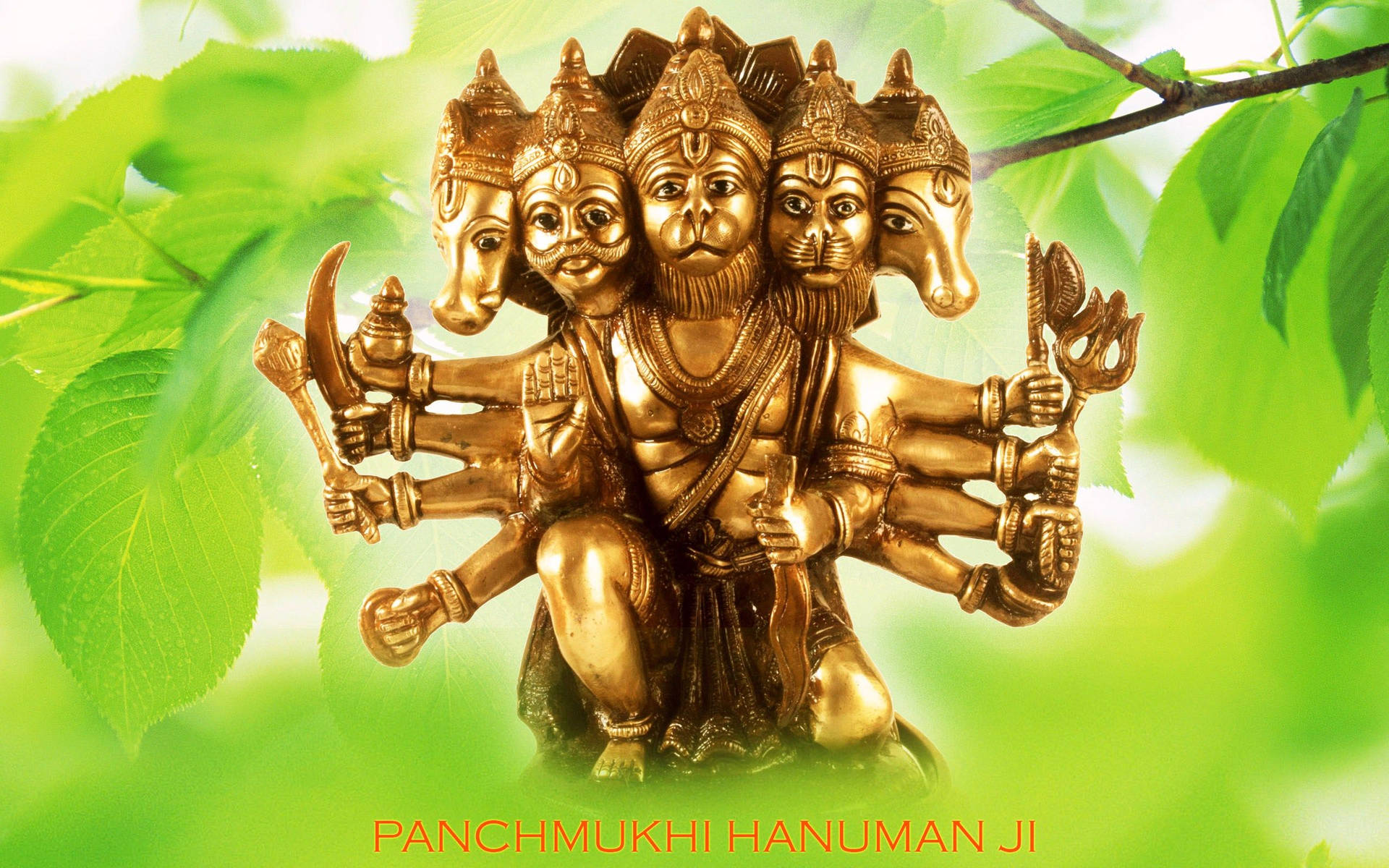 Deity Panchmukhi Hanuman Golden Statue Background