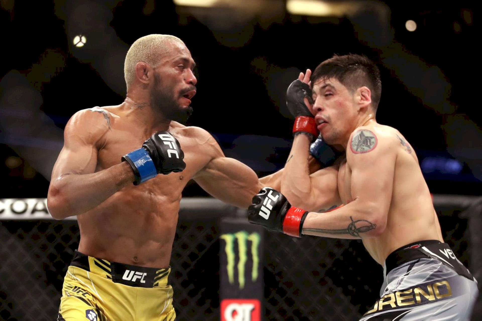 Deiveson Figueiredo Punching Brandon Moreno Background