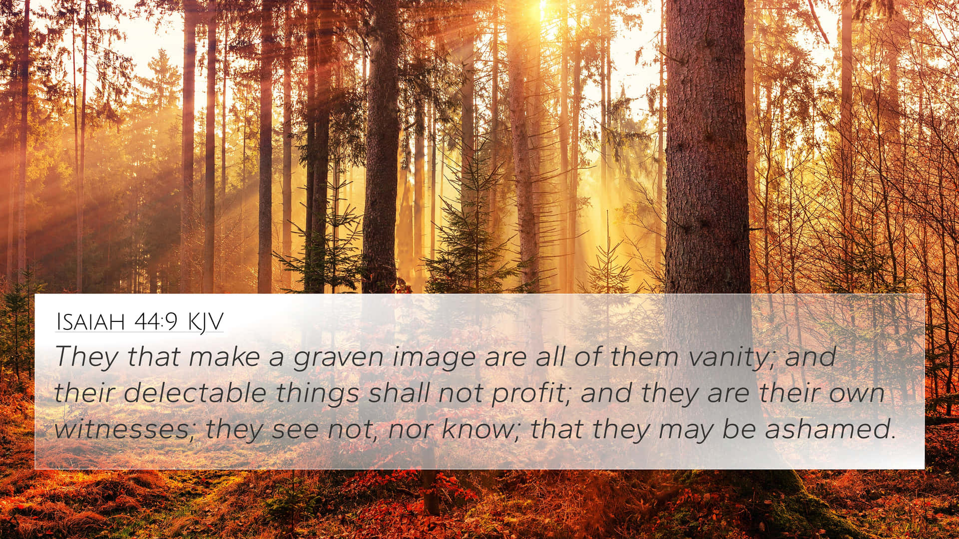 Delectable Bible Quote Background