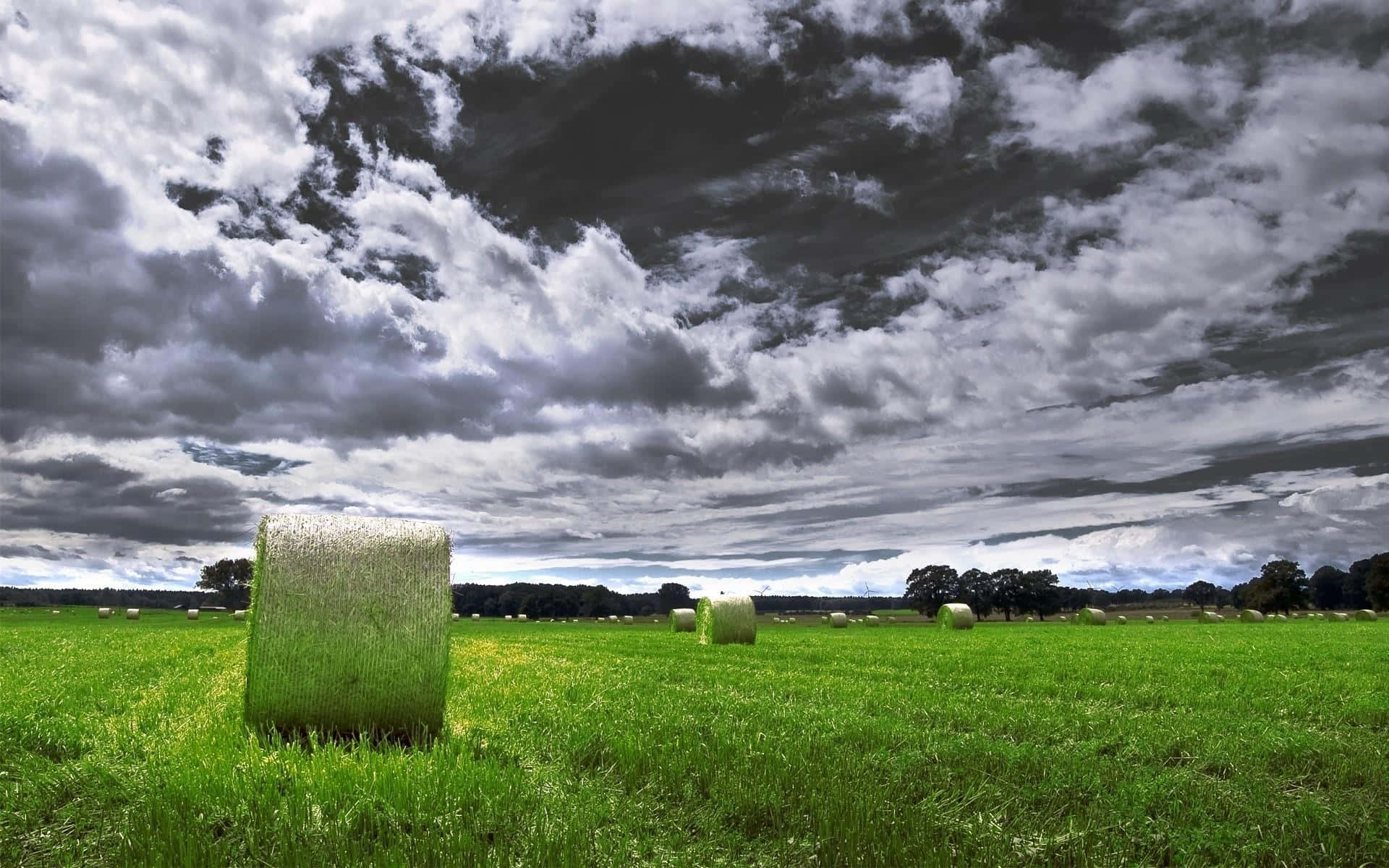 Delectable Green Fields Background