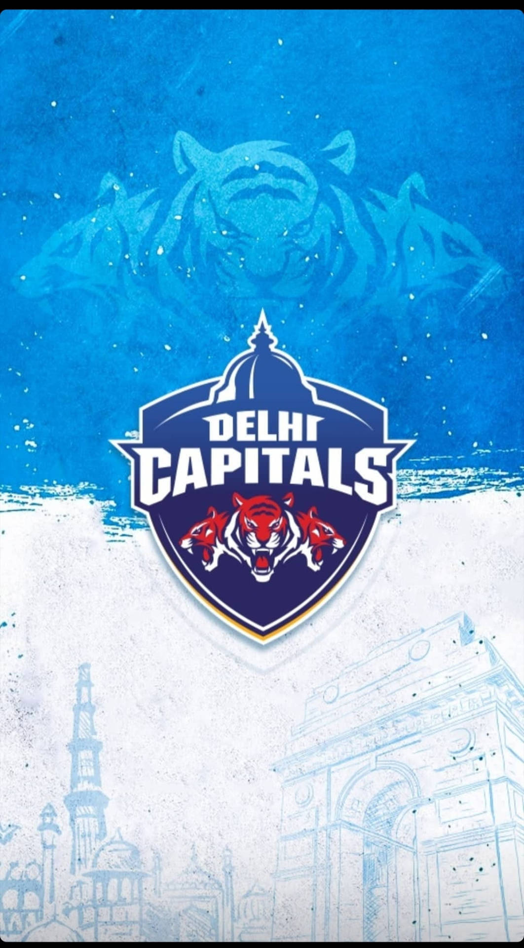 Delhi Capitals Logo Art Background