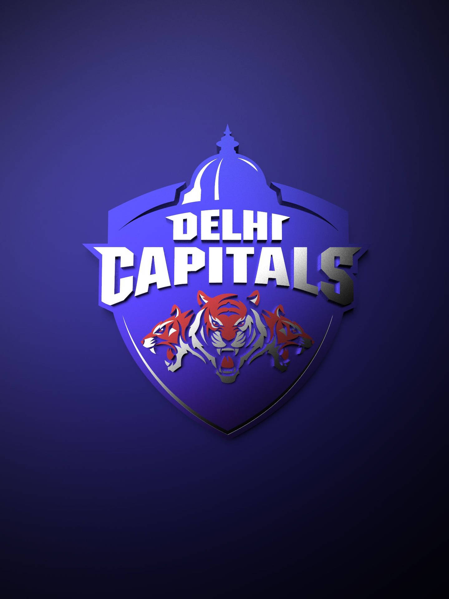 Delhi Capitals Logo