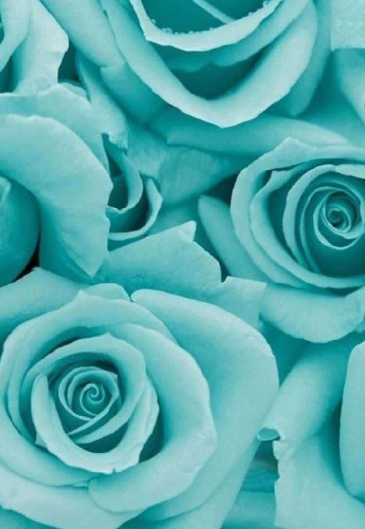 Delicate And Delightful Teal Flower Background