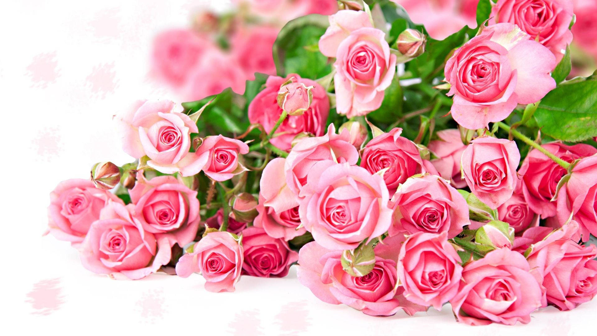 Delicate Bundle Of Pink Roses Background