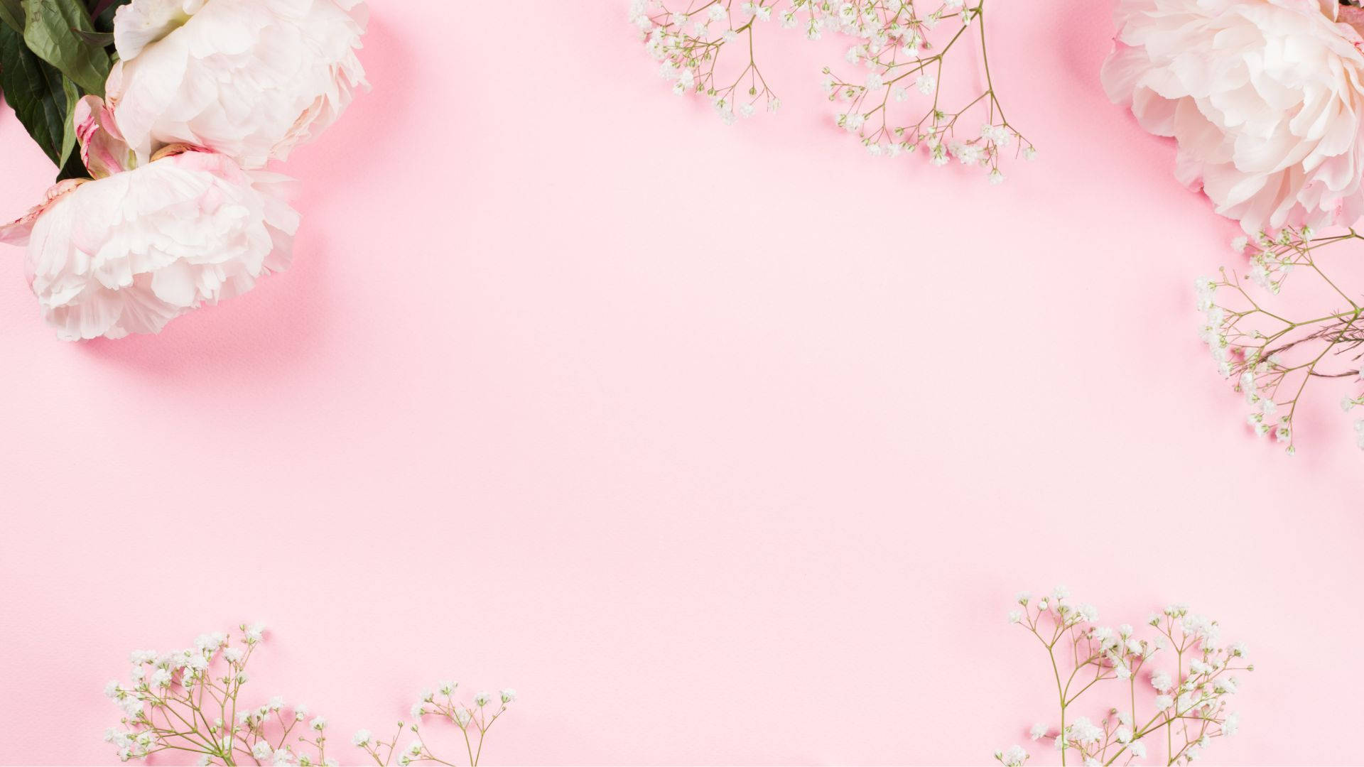 Delicate Floral Arrangement In Baby Pink Hues Background