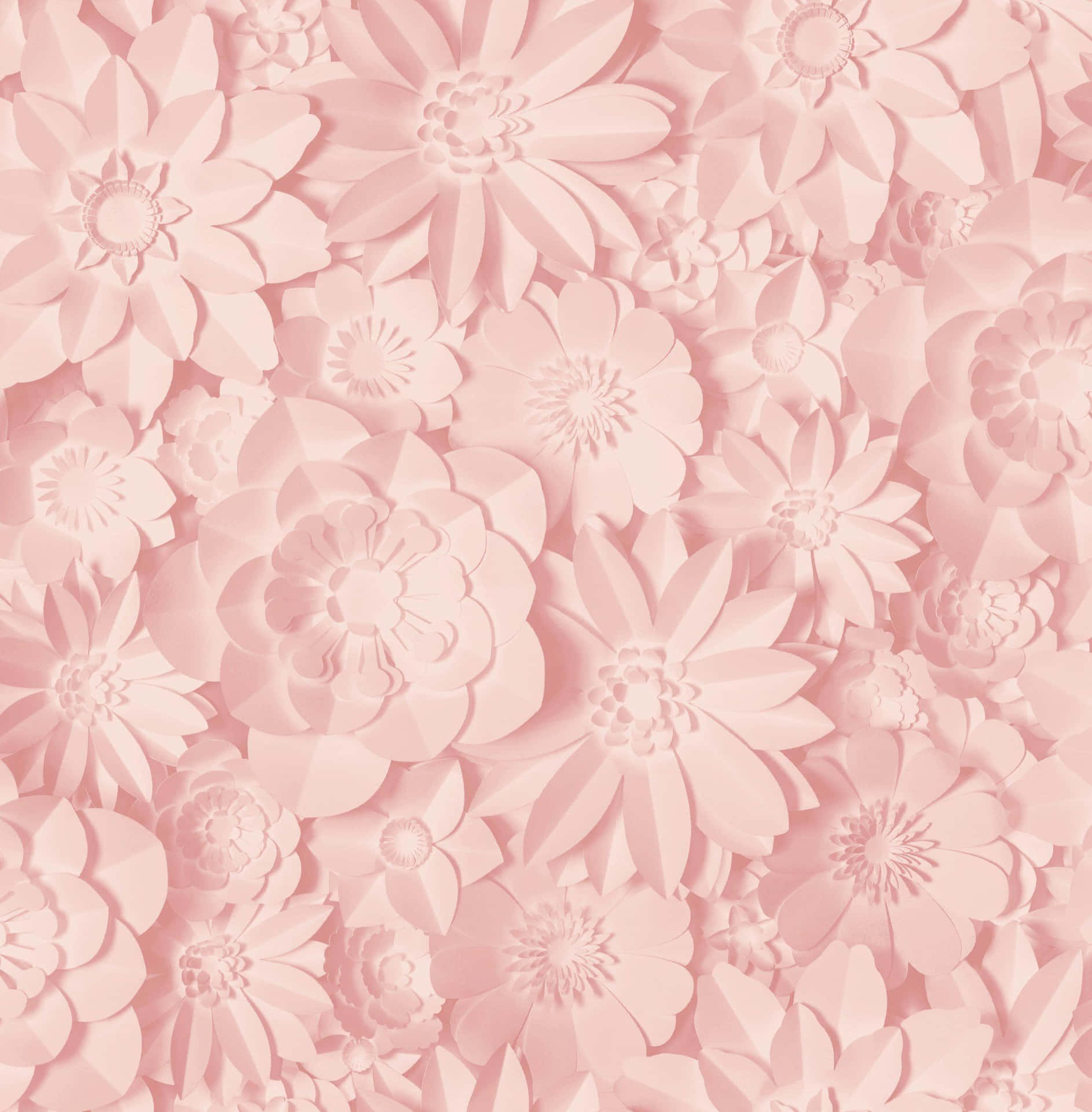 Delicate Pink Flowers Hd Pattern Background