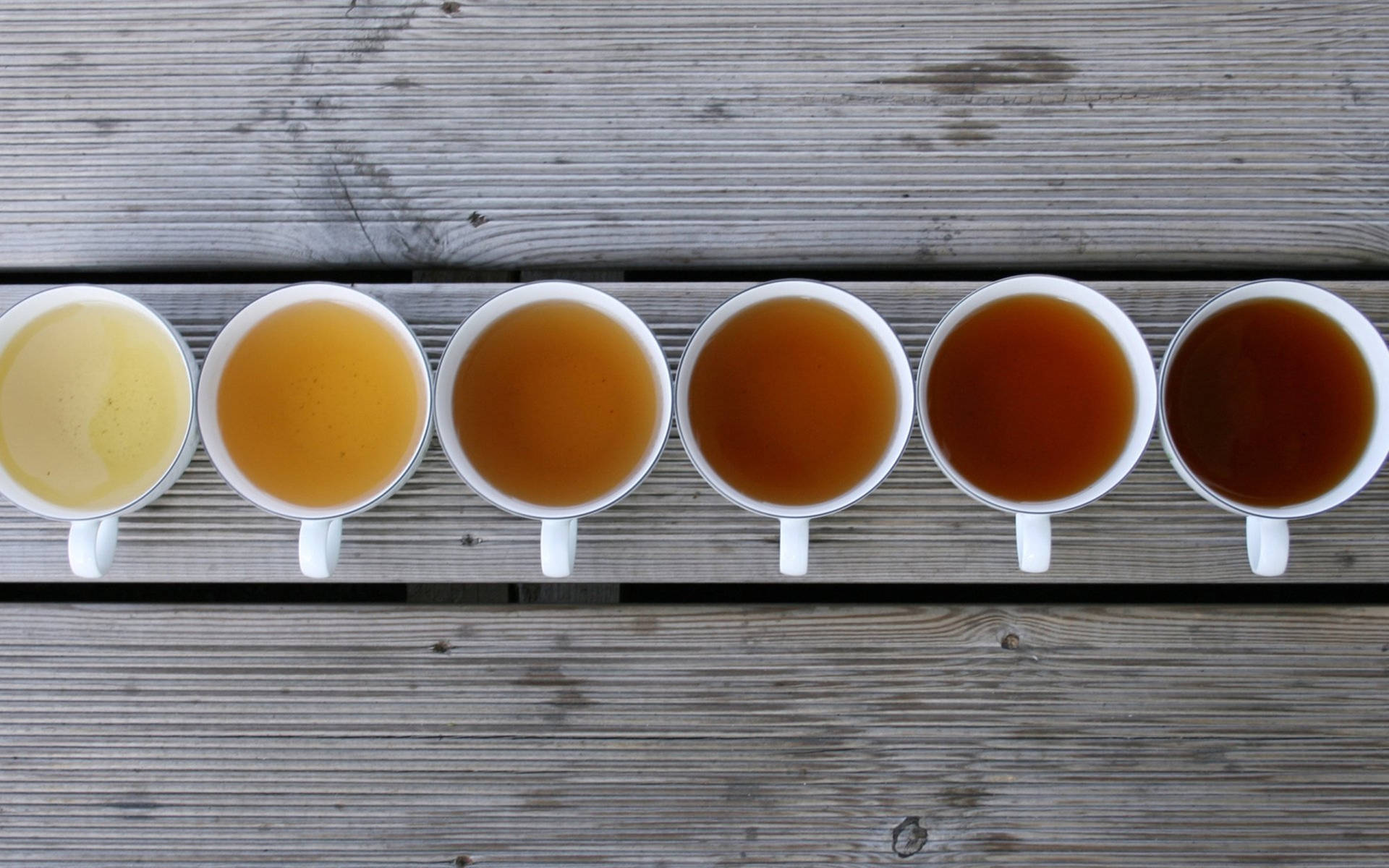 Delicate Rendering Of Tea