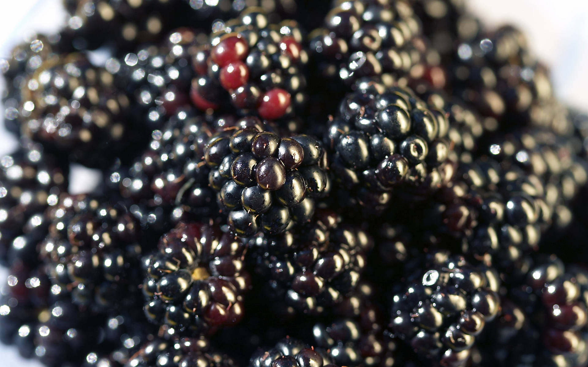 Delicious Boysenberry Hybrid Berry Background