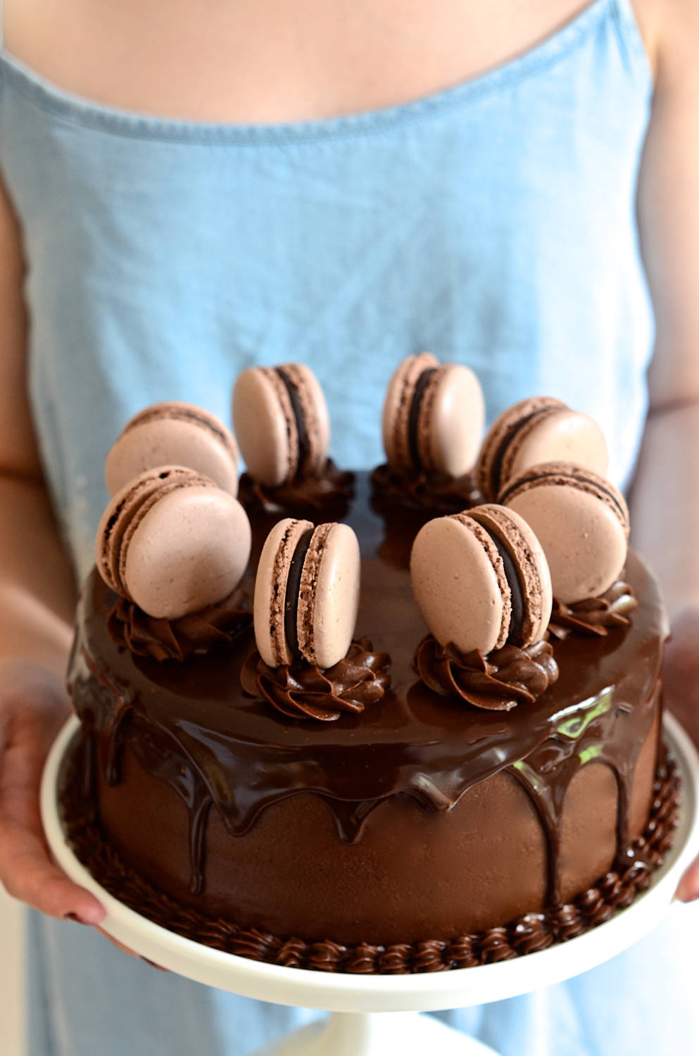 Delicious Dark Chocolate Cake With Macarons Background