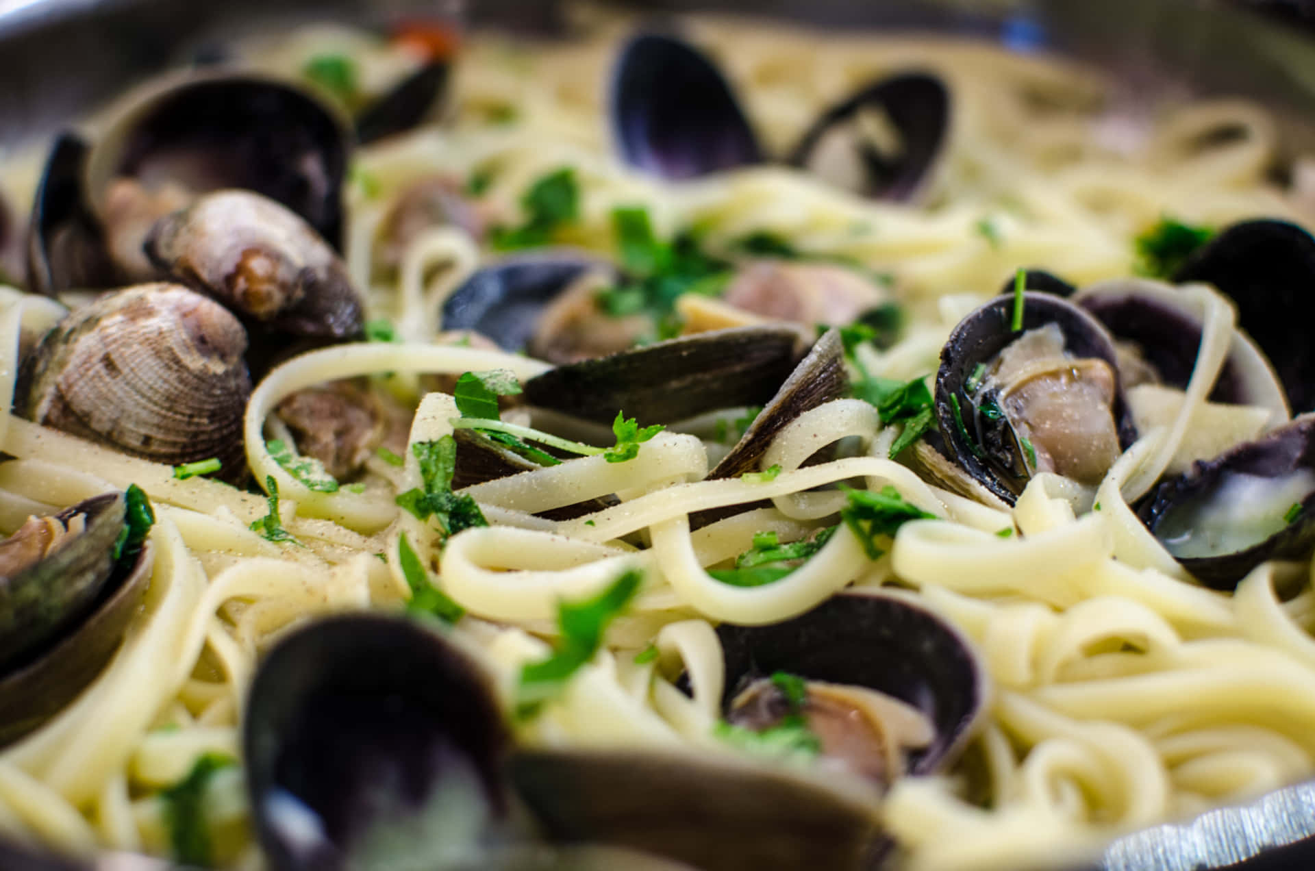 Delicious Spaghetti Alla Vongole Perfectly Captured In A Macro Shot Background