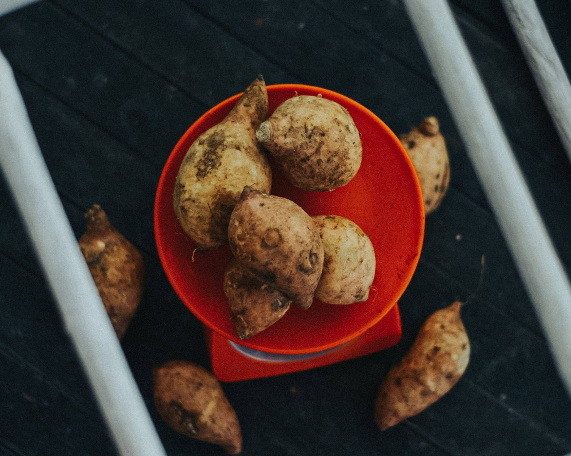 Delicious Sweet Potato Served On A Red Plate. Background