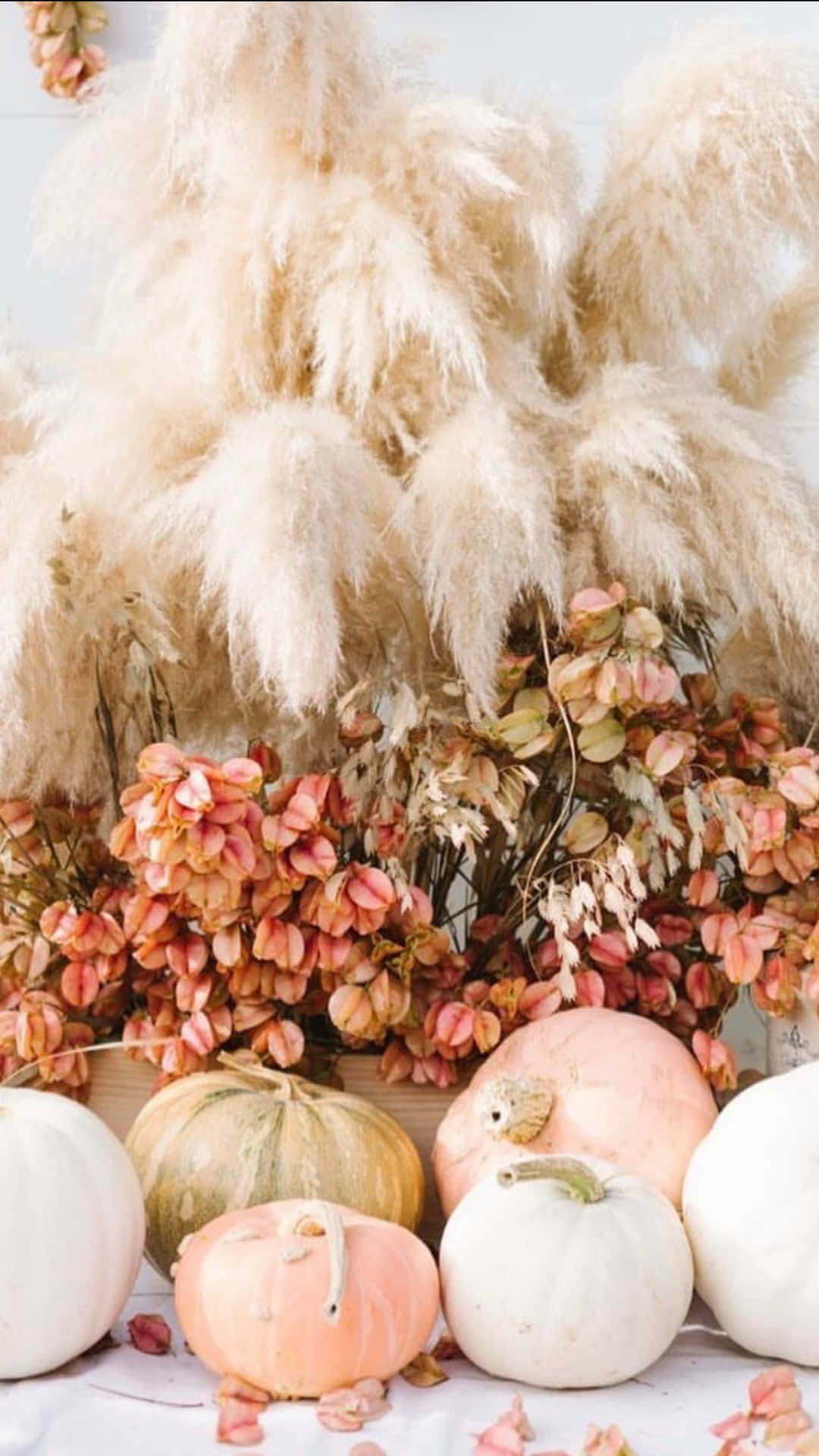 Deliciously Decorative Pink Pumpkin Background