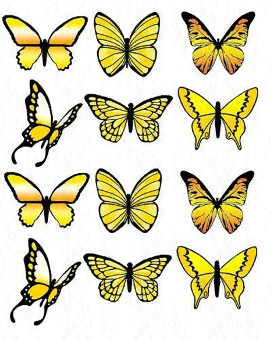 Delightful Yellow Butterflies