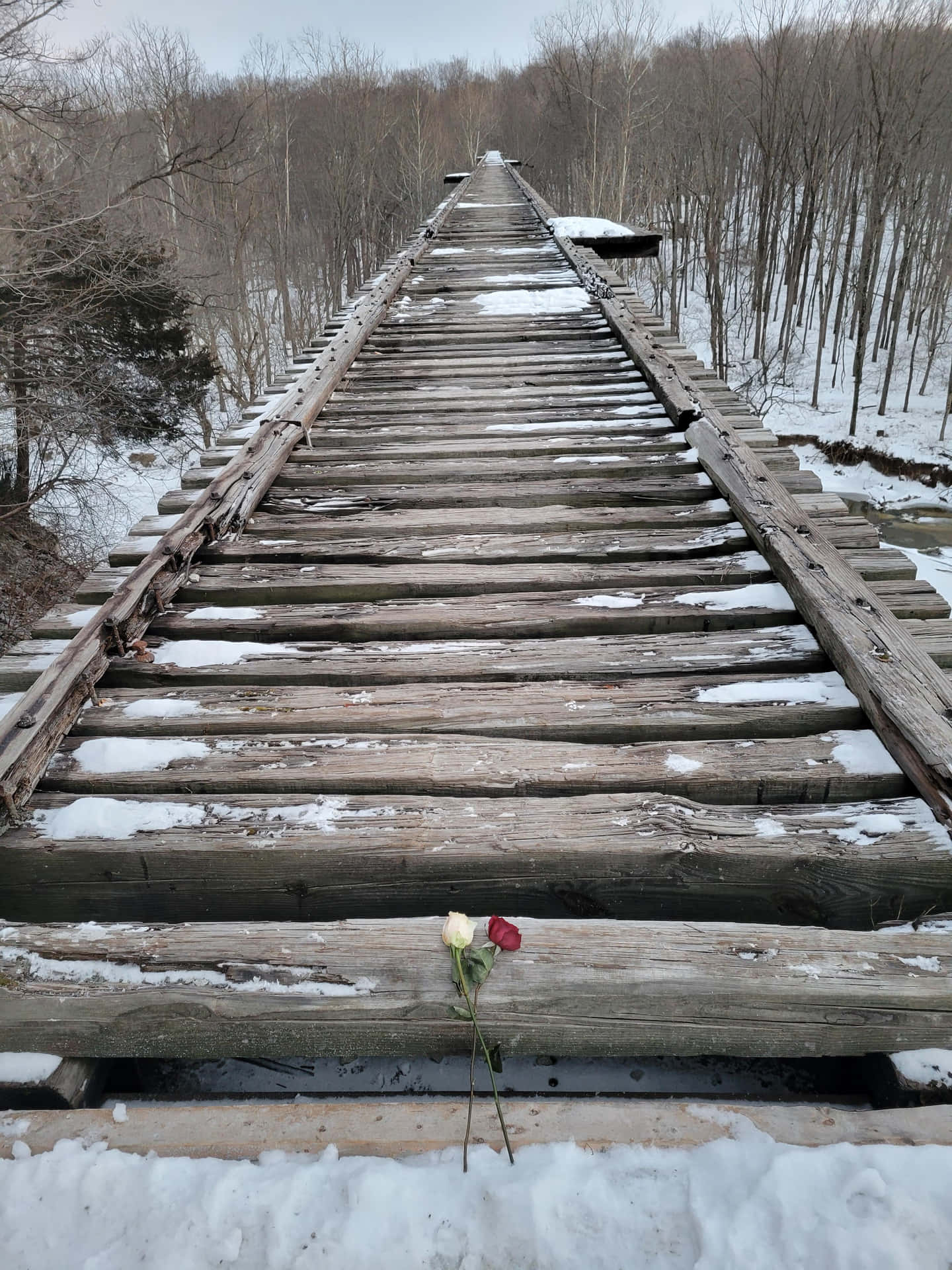 Delphi Monon High Bridge Background