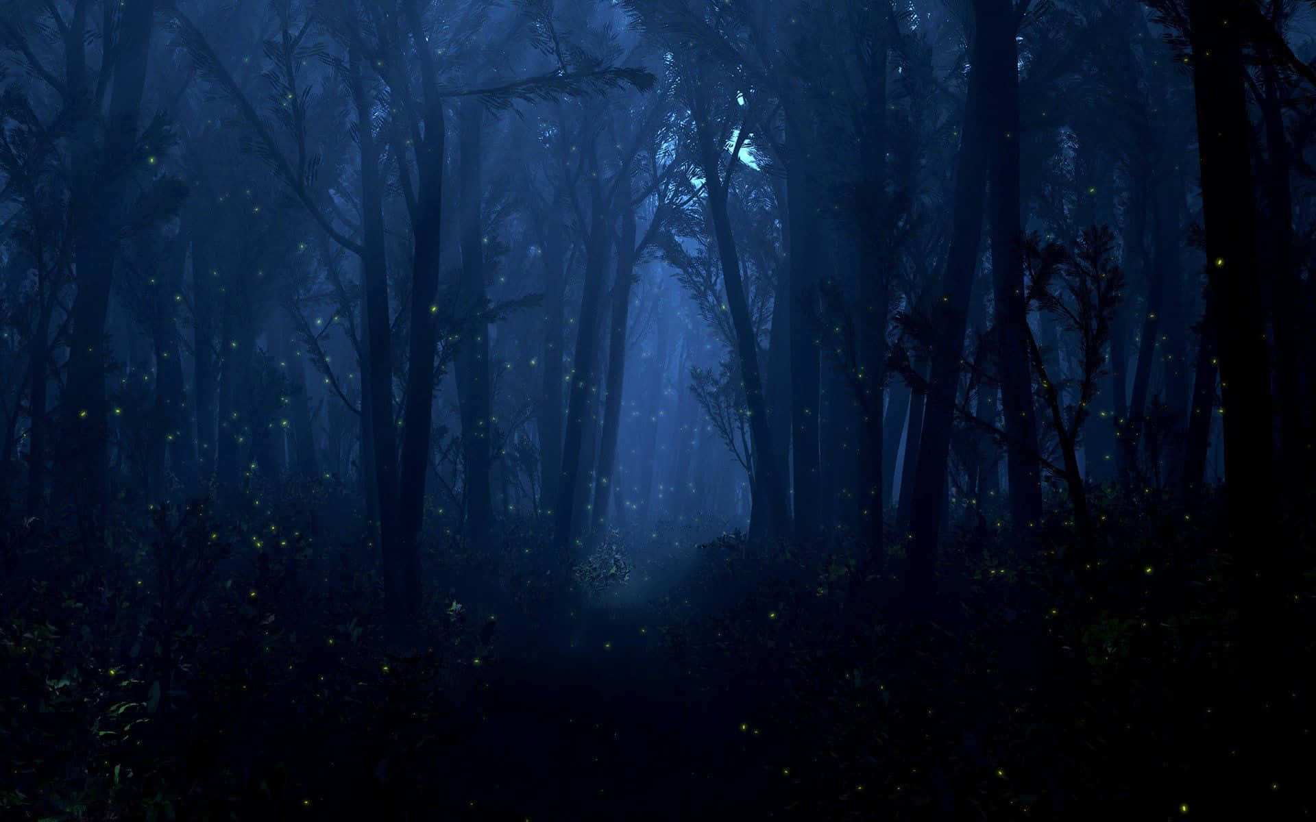 Delve Deep Into The Mystical Night Forest Background