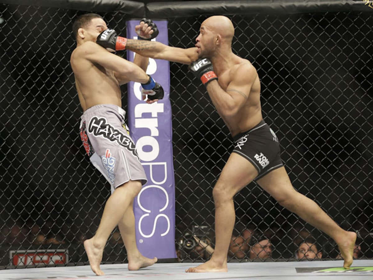 Demetrious Johnson Fight Against Johnson Dodson Background