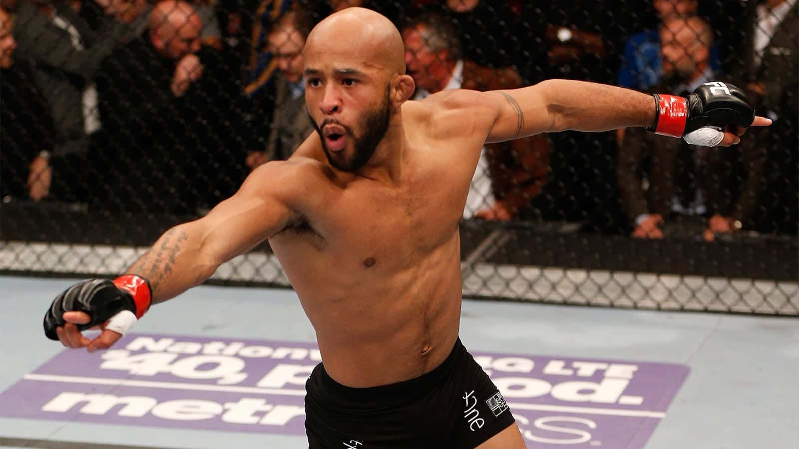 Demetrious Johnson One Flyweight Champion Background