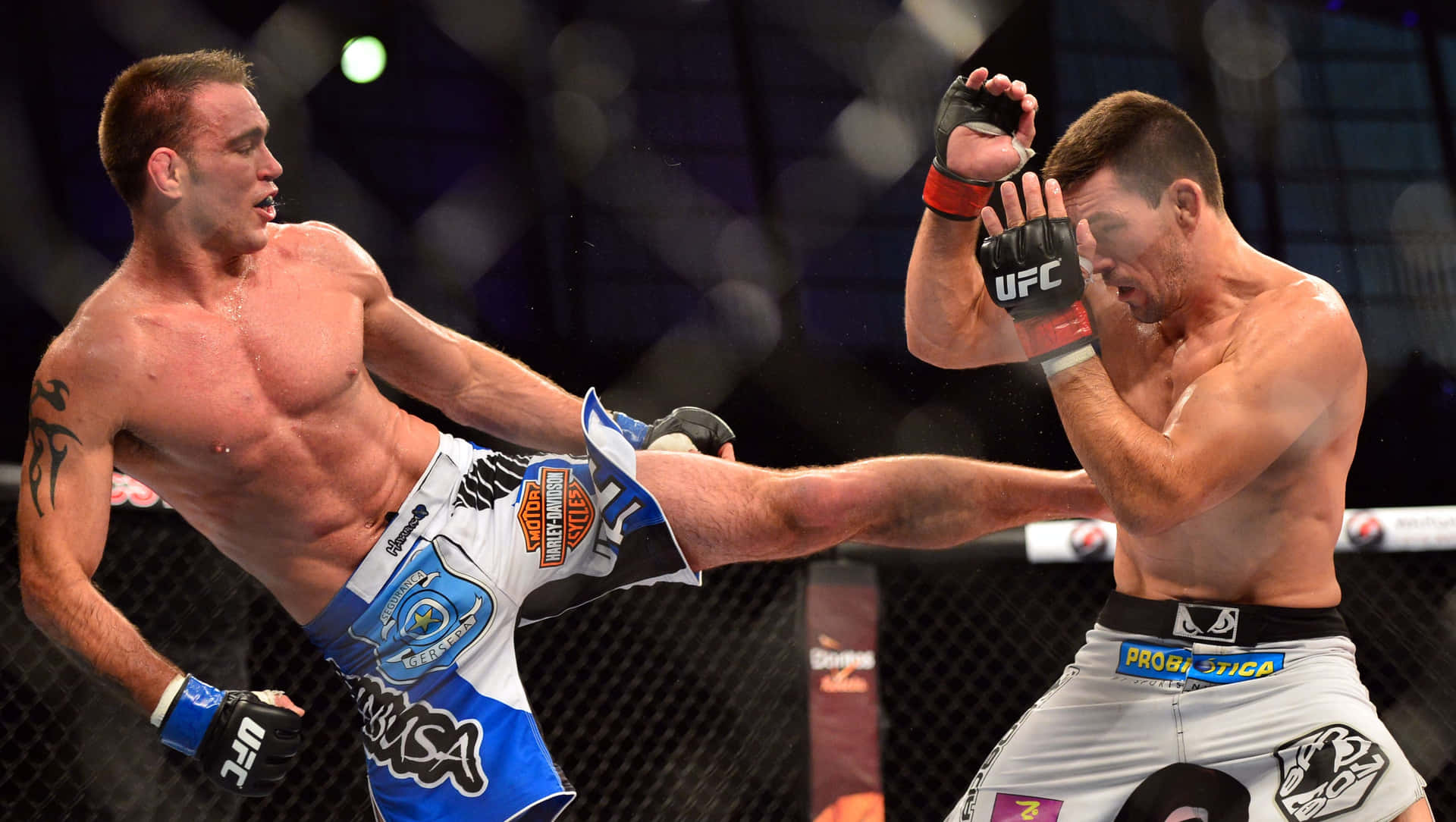 Demian Maia In A Fierce Boxing Match Against Jake Shields Background