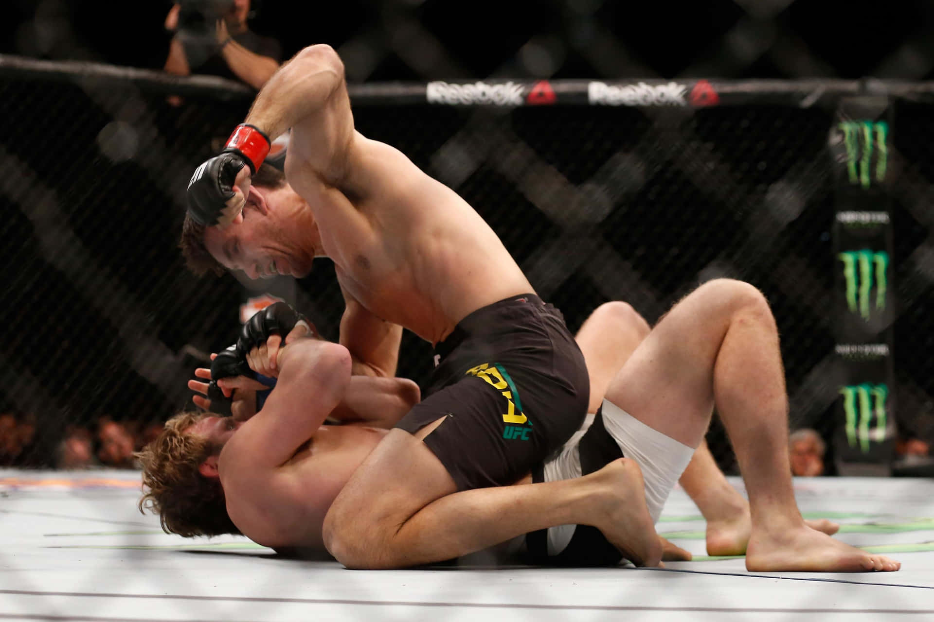 Demian Maia - Master Of Brazilian Submission Grappling Background