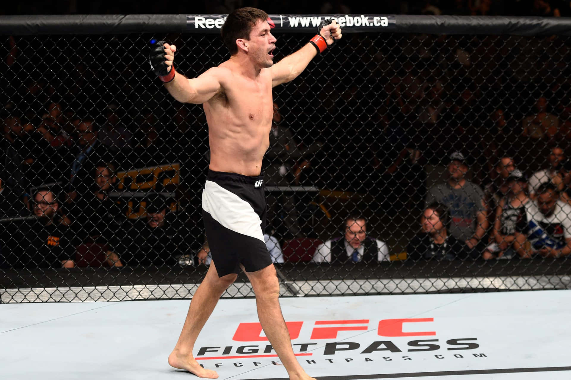 Demian Maia Octagon Fight Night