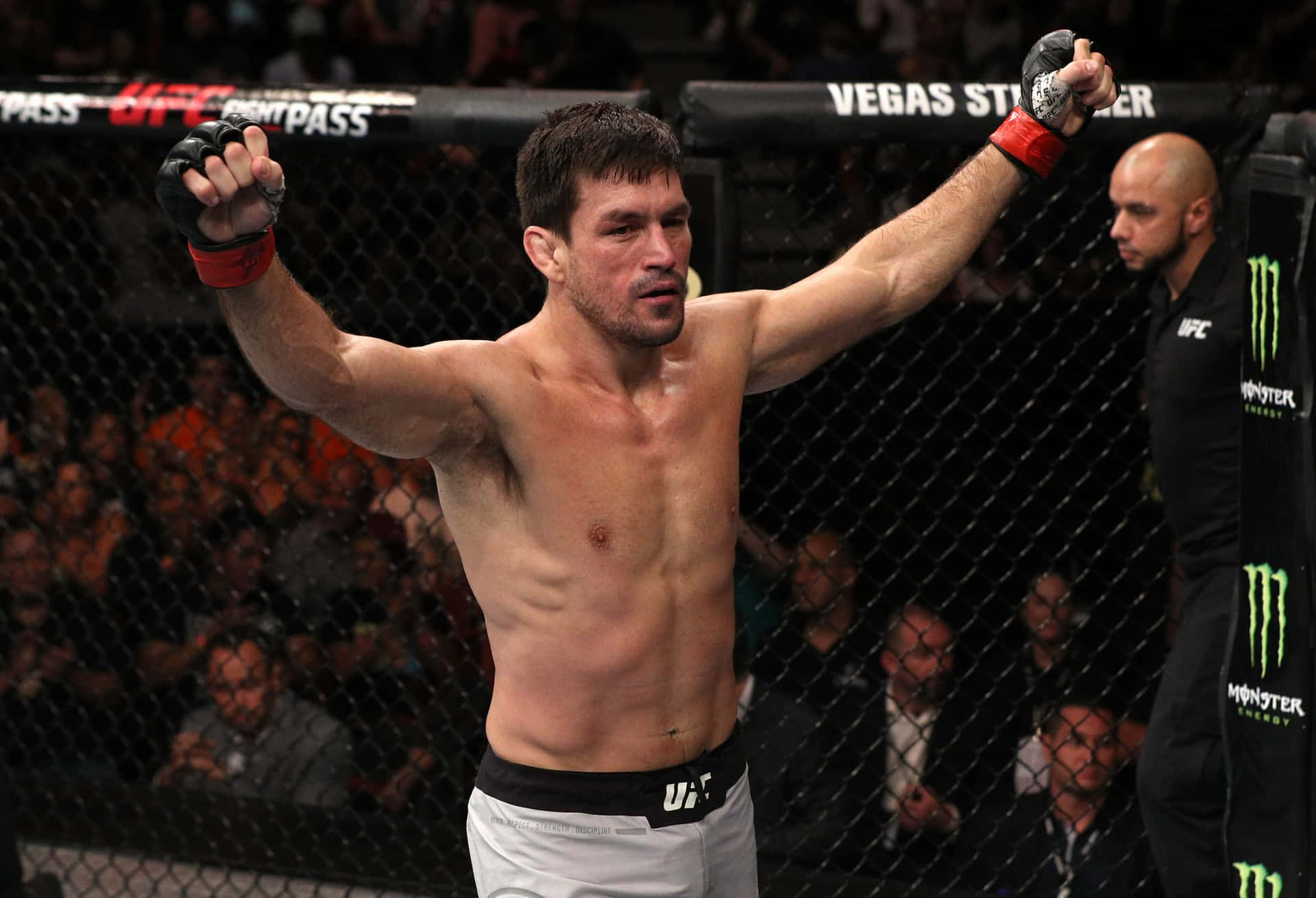 Demian Maia Ufc Fight Night