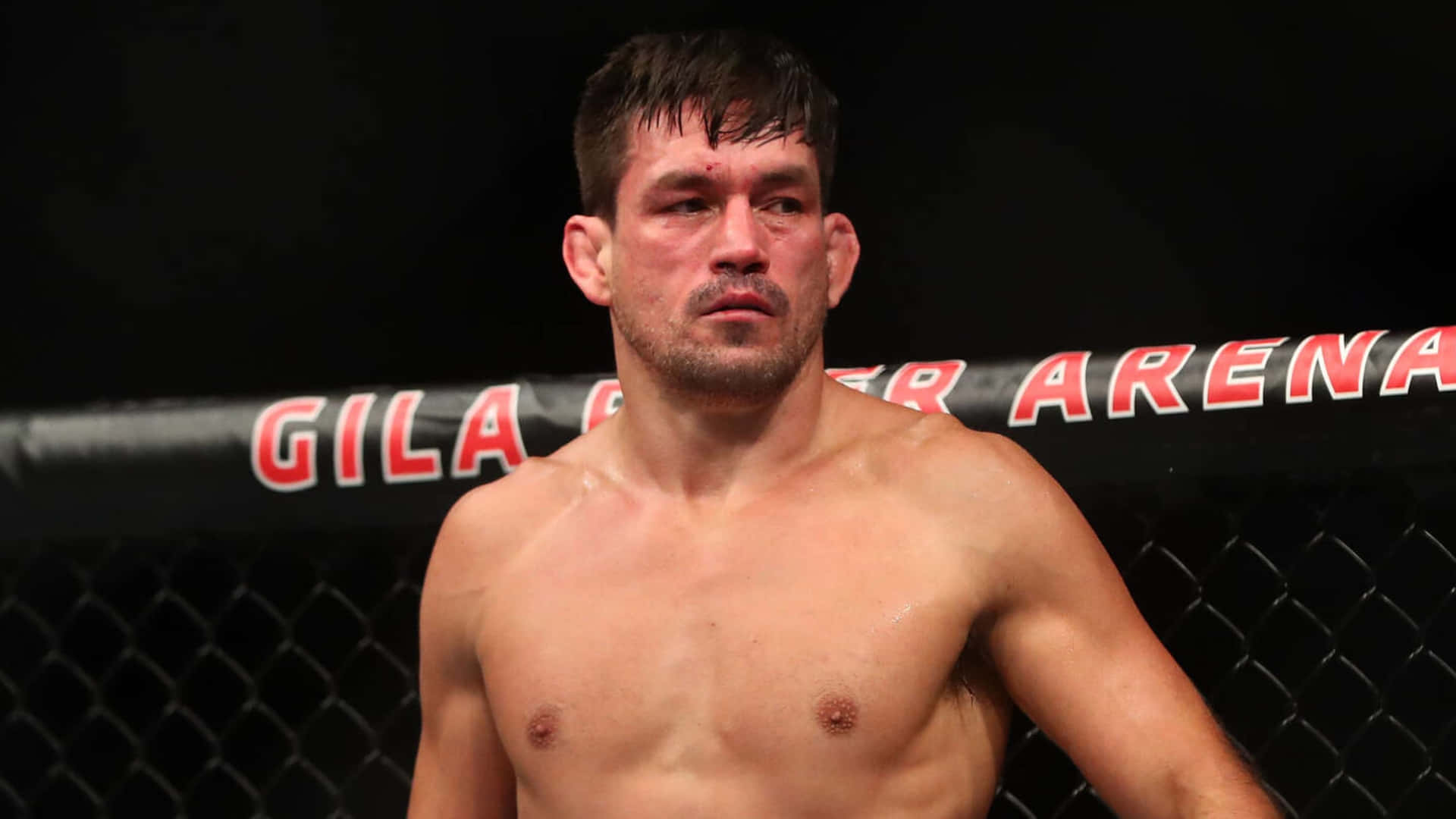 Demian Maia Ufc Fight Night Background