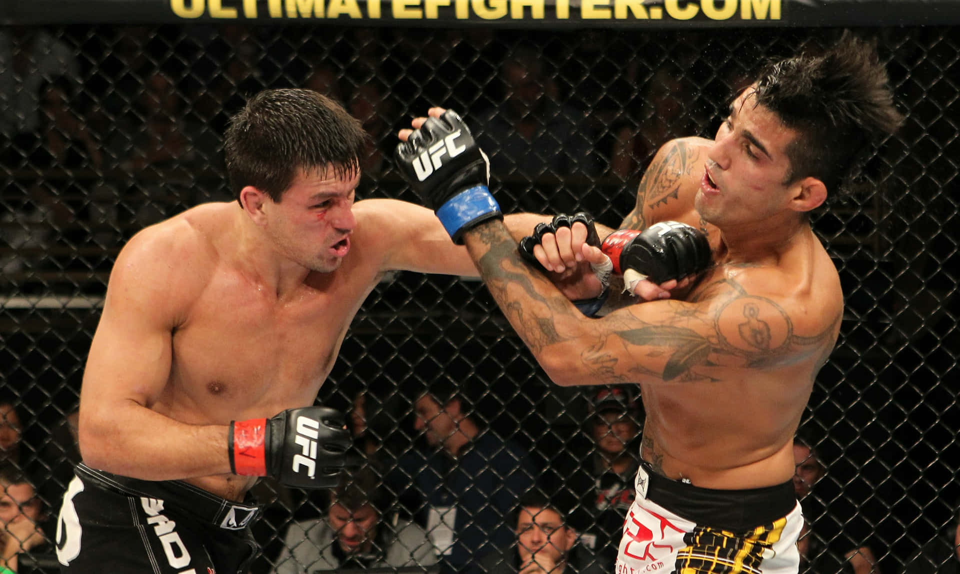 Demian Maia Vs Kendall Grove Background