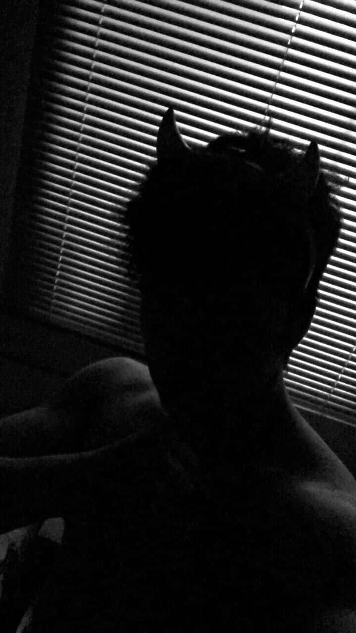 Demon Shadow Pfp With Blinds Background