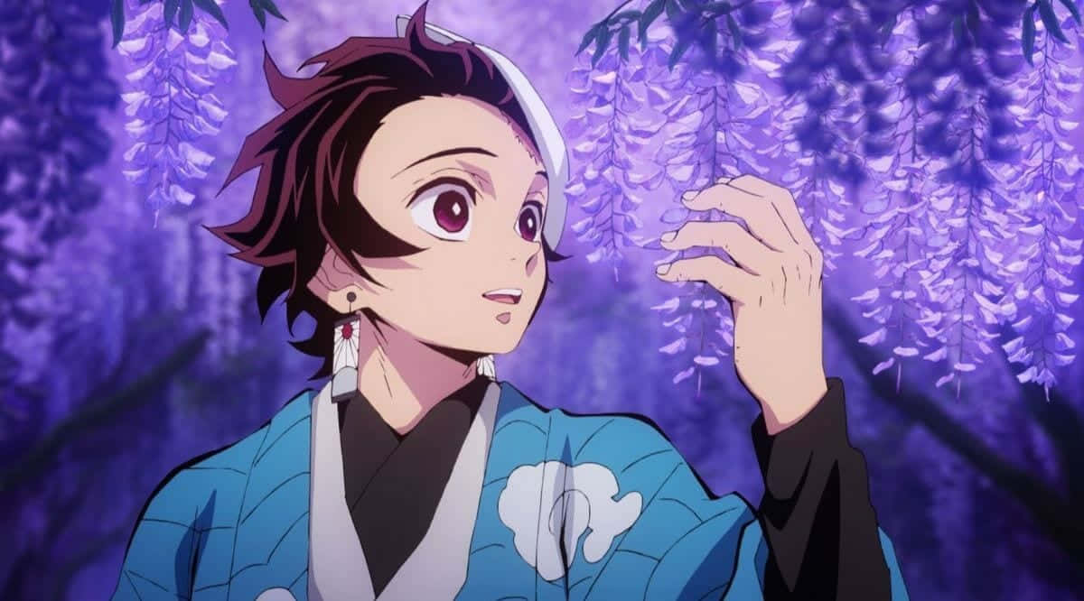 Demon Slayer Season 2 Tanjiro Cherry Blossoms Background