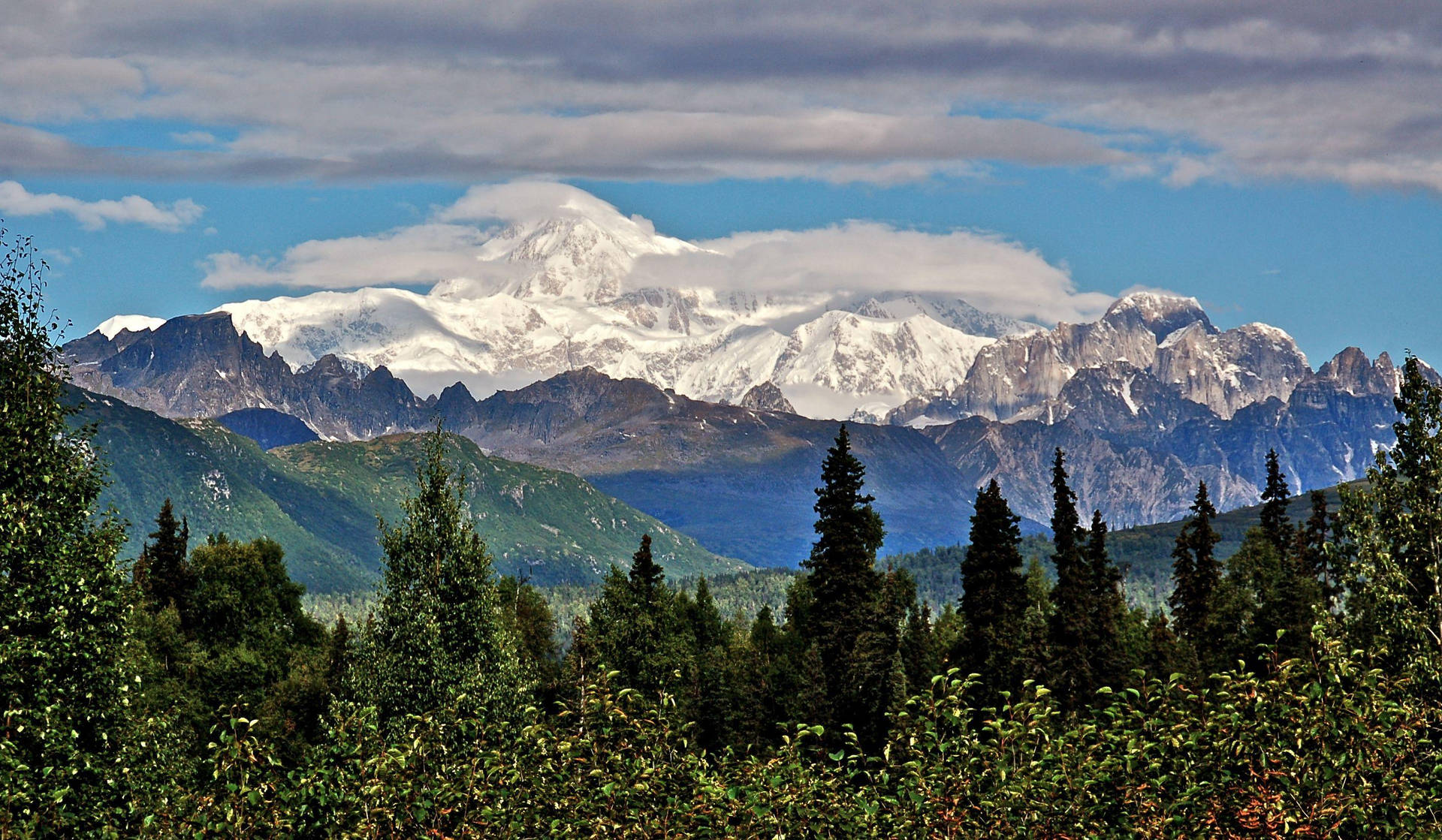 Denali With Green Forest Background