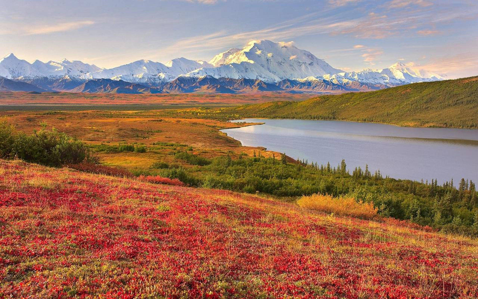 Denali With Red Field
