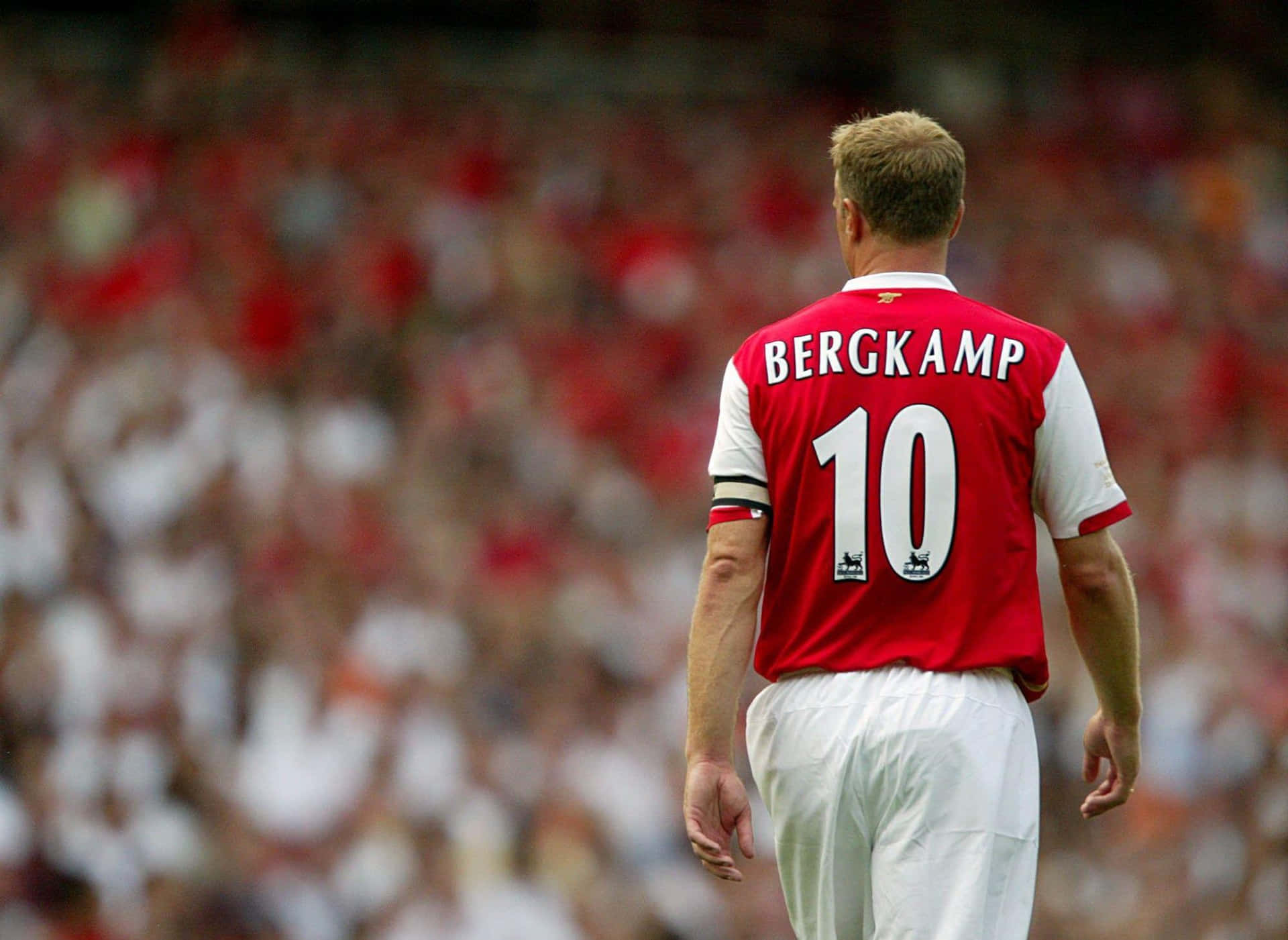 Dennis Bergkamp Football Player Back View