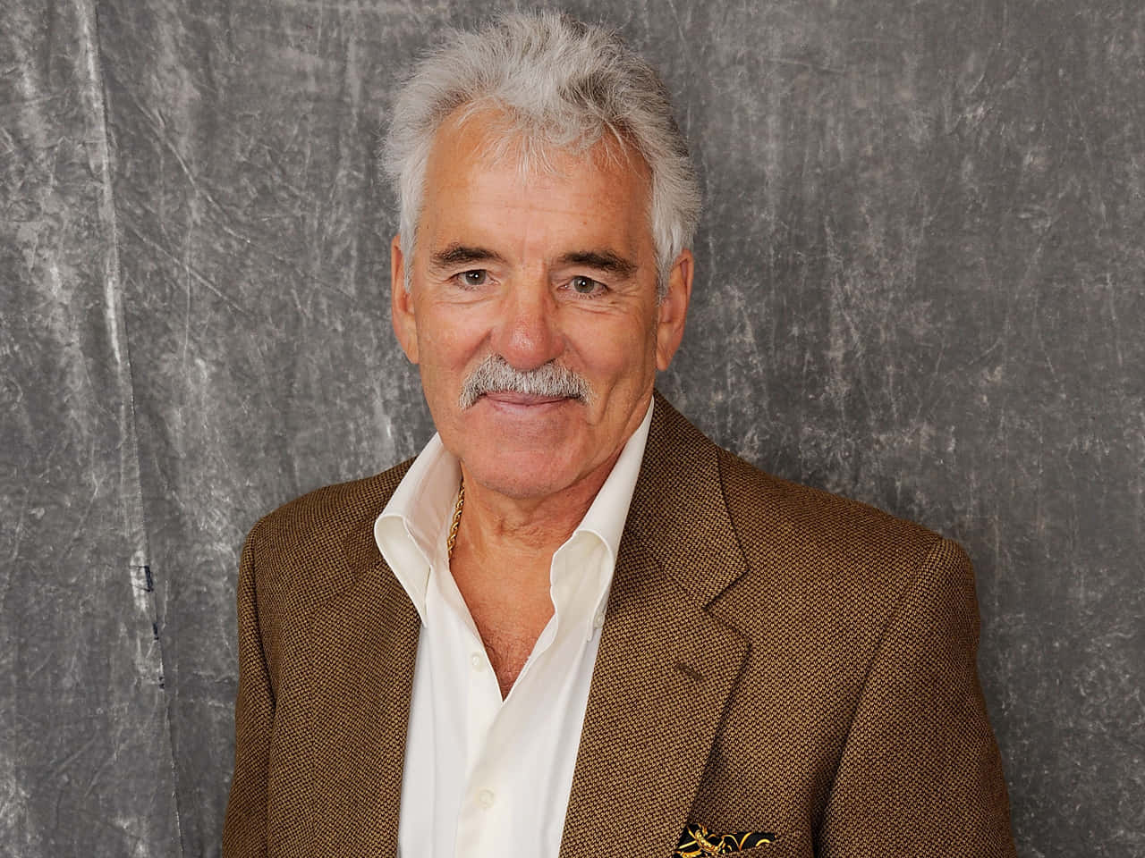 Dennis Farina In A Candid Portrait