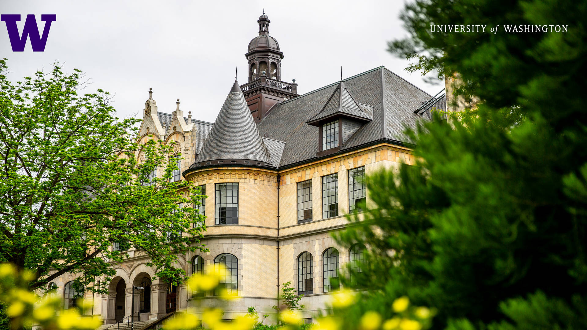 Denny Hall At University Of Washington Background