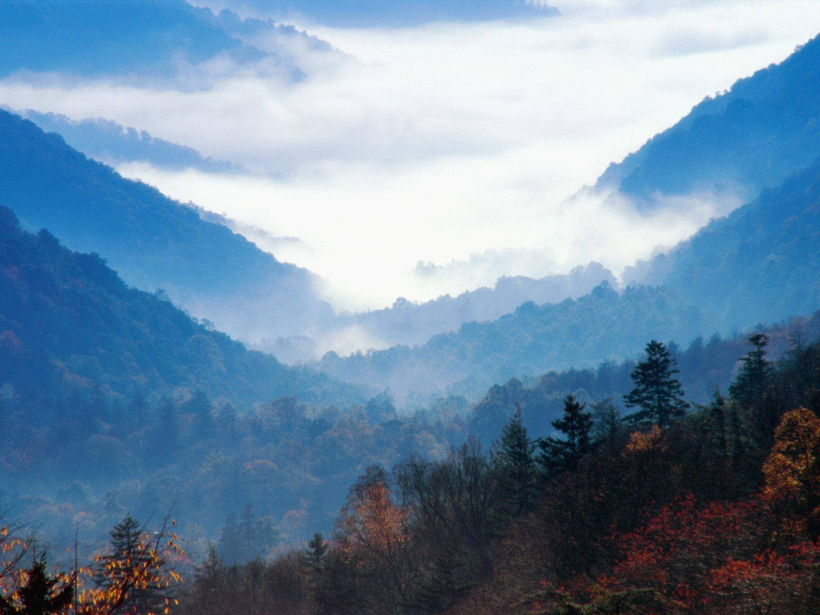 Dense Clouds In The Great Smoky Mountains Background