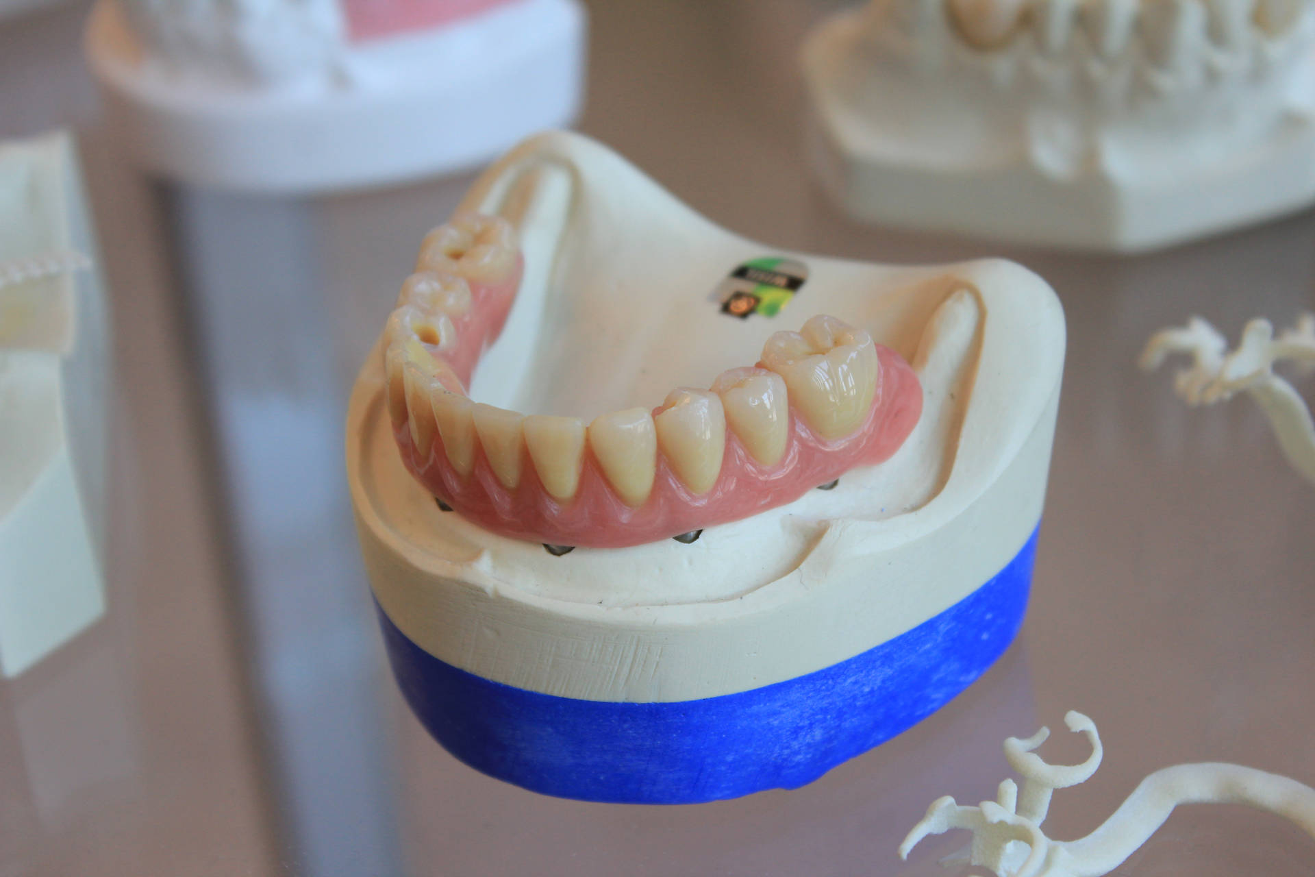 Dentistry Model Of Bottom Denture Background