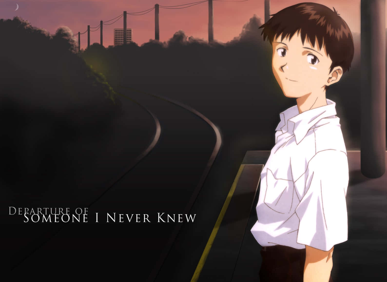 Departure Of Someone I Never Knew Shinji Ikari Background