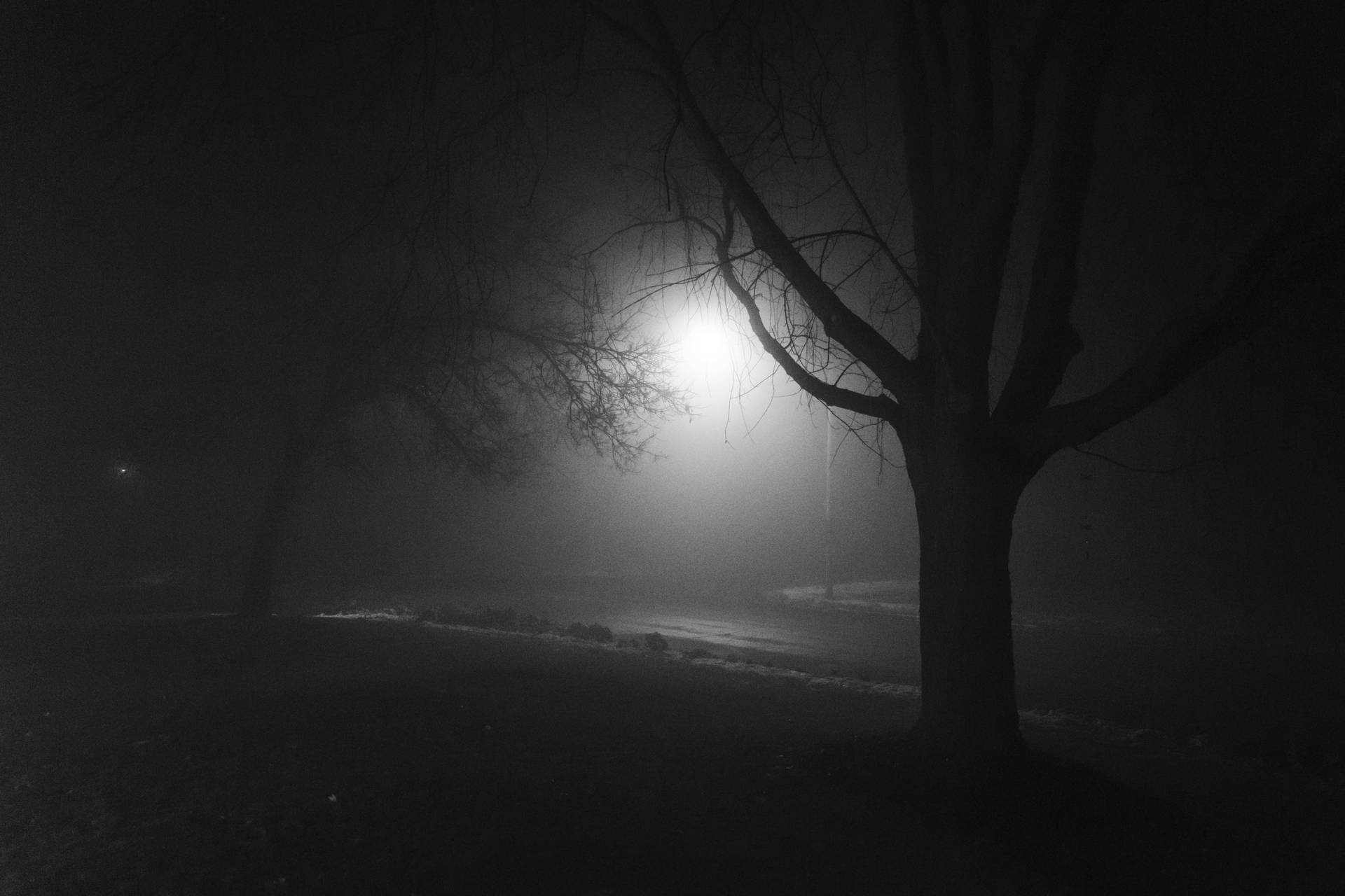 Depressing Foggy Night Background