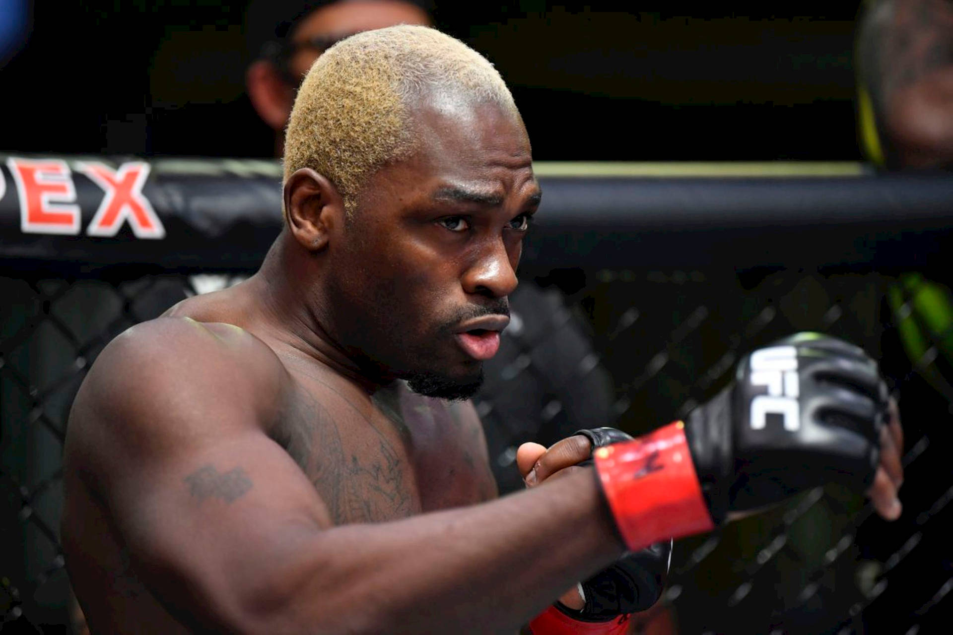 Derek Brunson Blonde Background