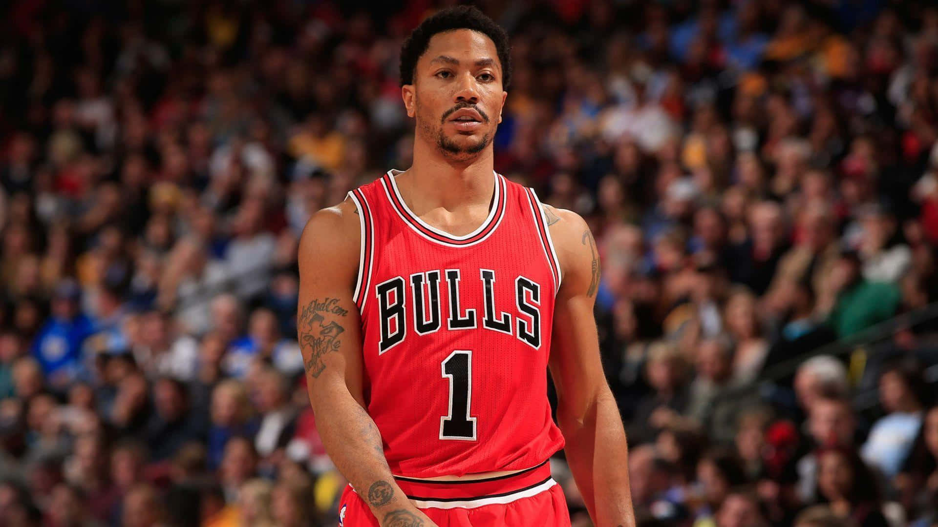 Derrick Rose, Chicago Bulls Standout Background