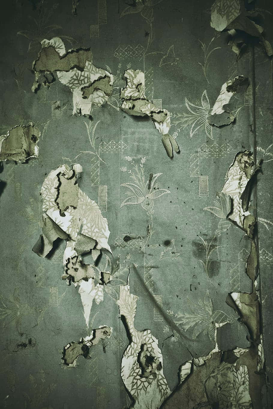 Desaturated Dark Green Torn Paper