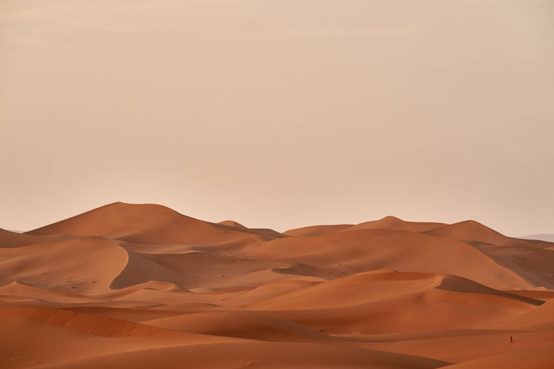 Desert Beige Aesthetic Desktop