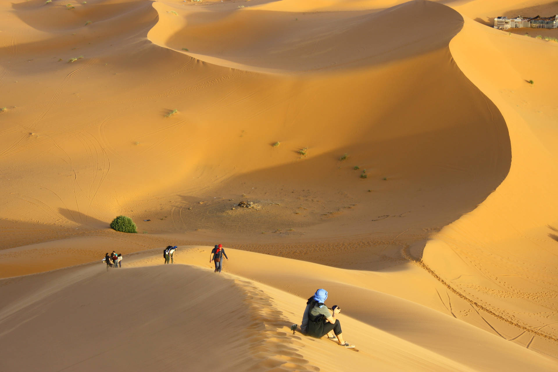 Desert Hiking In The Sahara Background