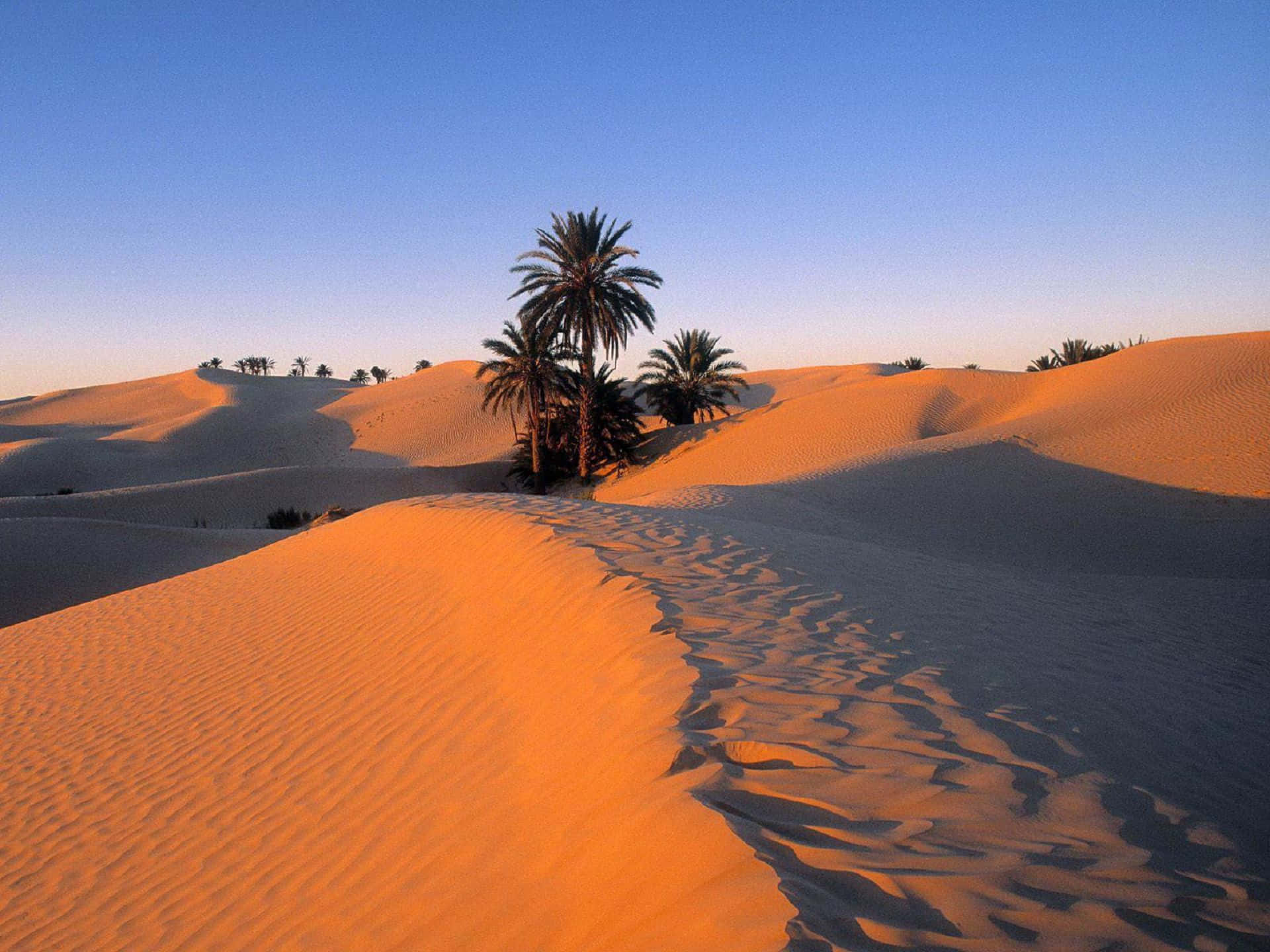 Desert In Africa Hd Background