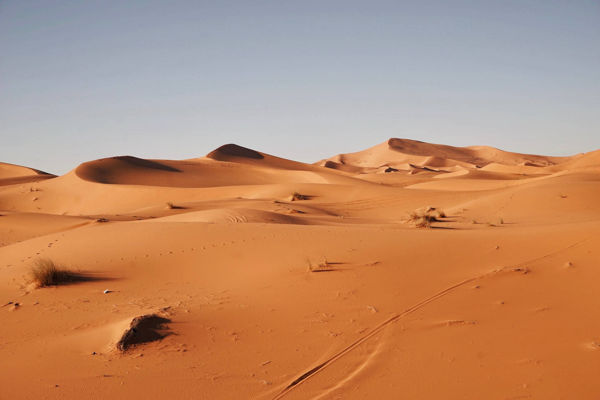 Desert Land Of Mauritania