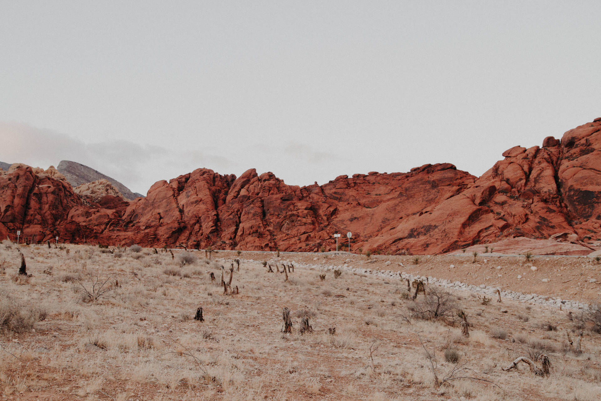 Desert Majesty: A Pure Expression Of Nature's Simplicity Background