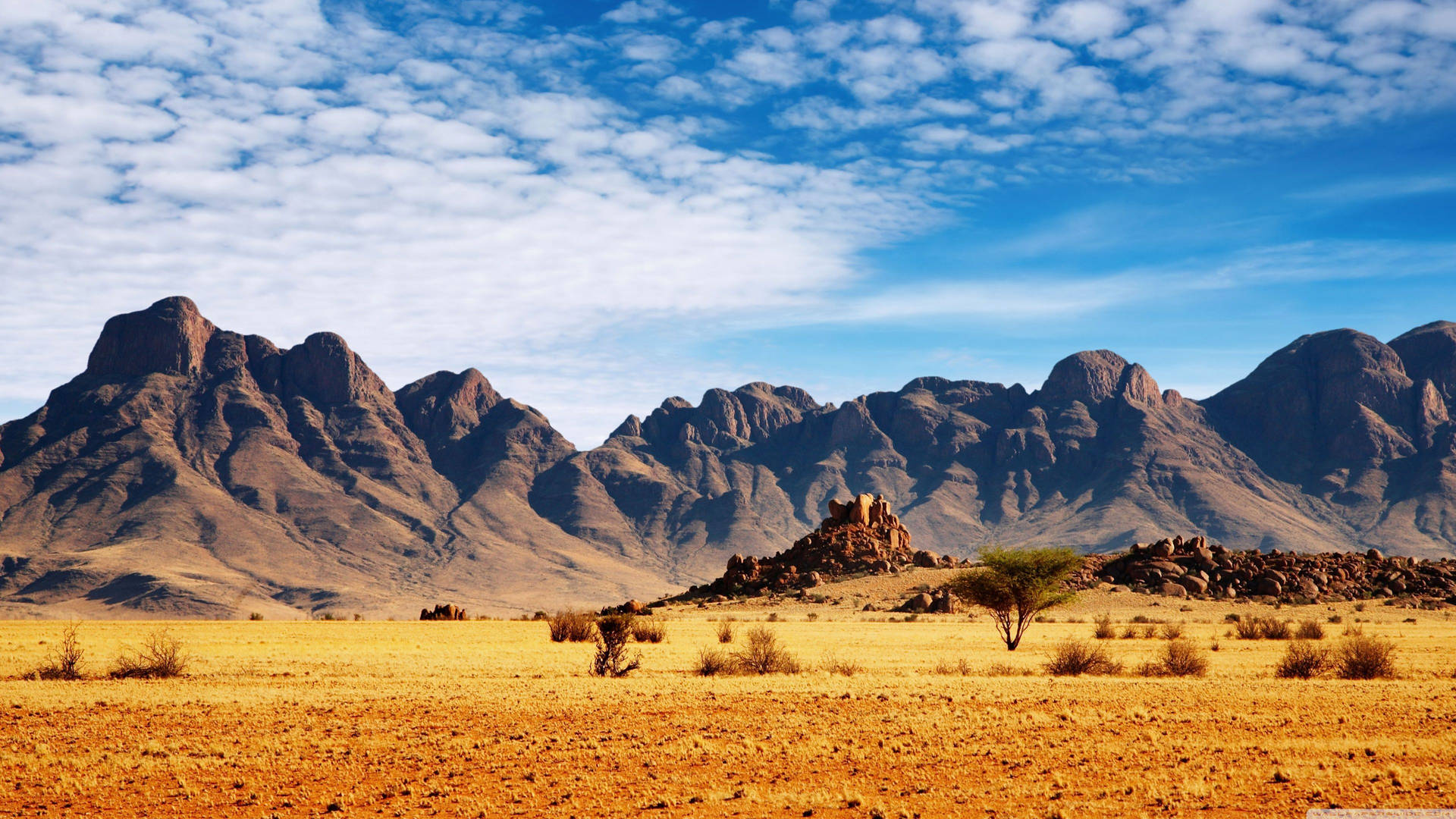 Desert Near High Mountains Background