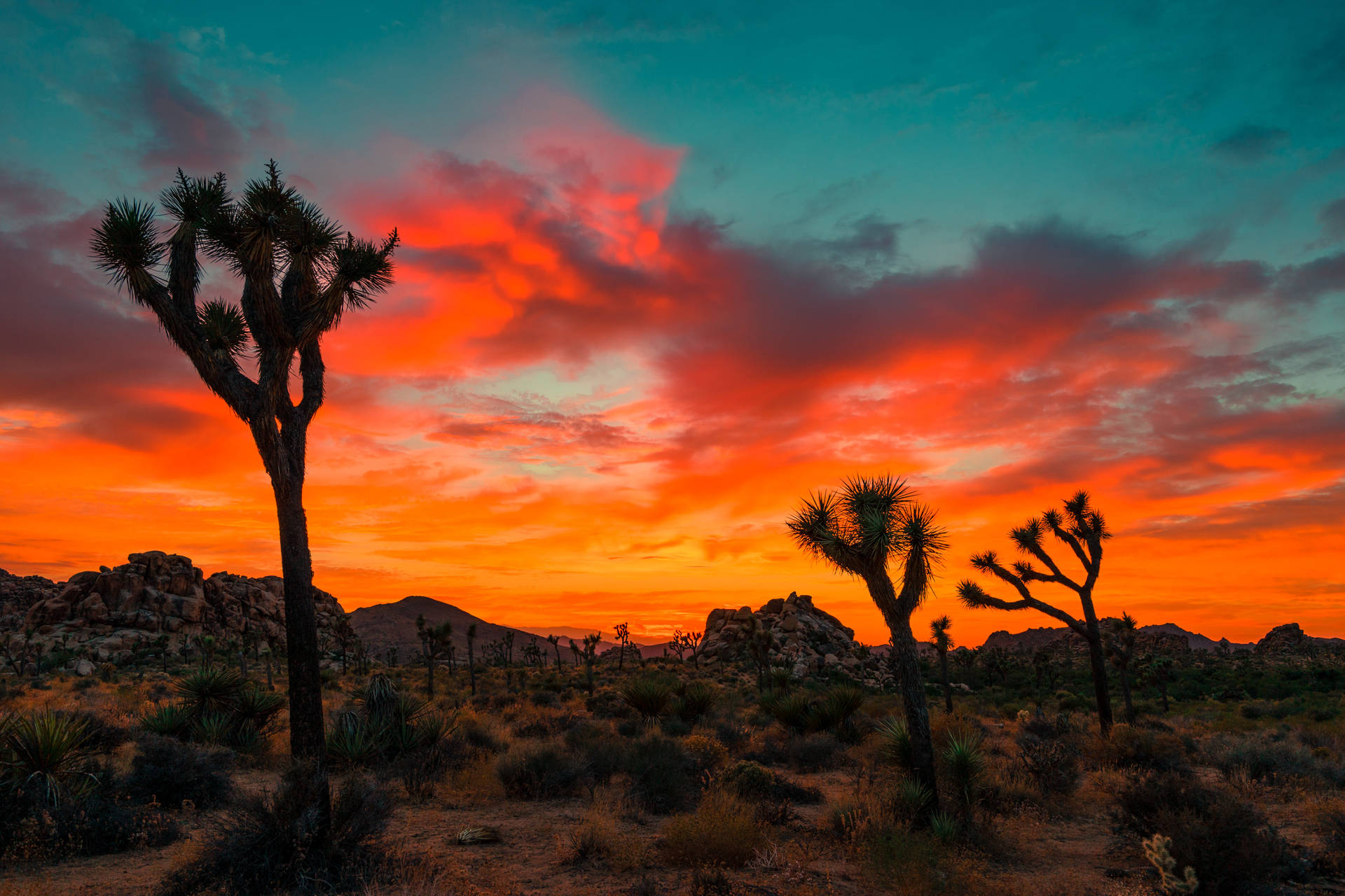 Desert Park At Dusk Background