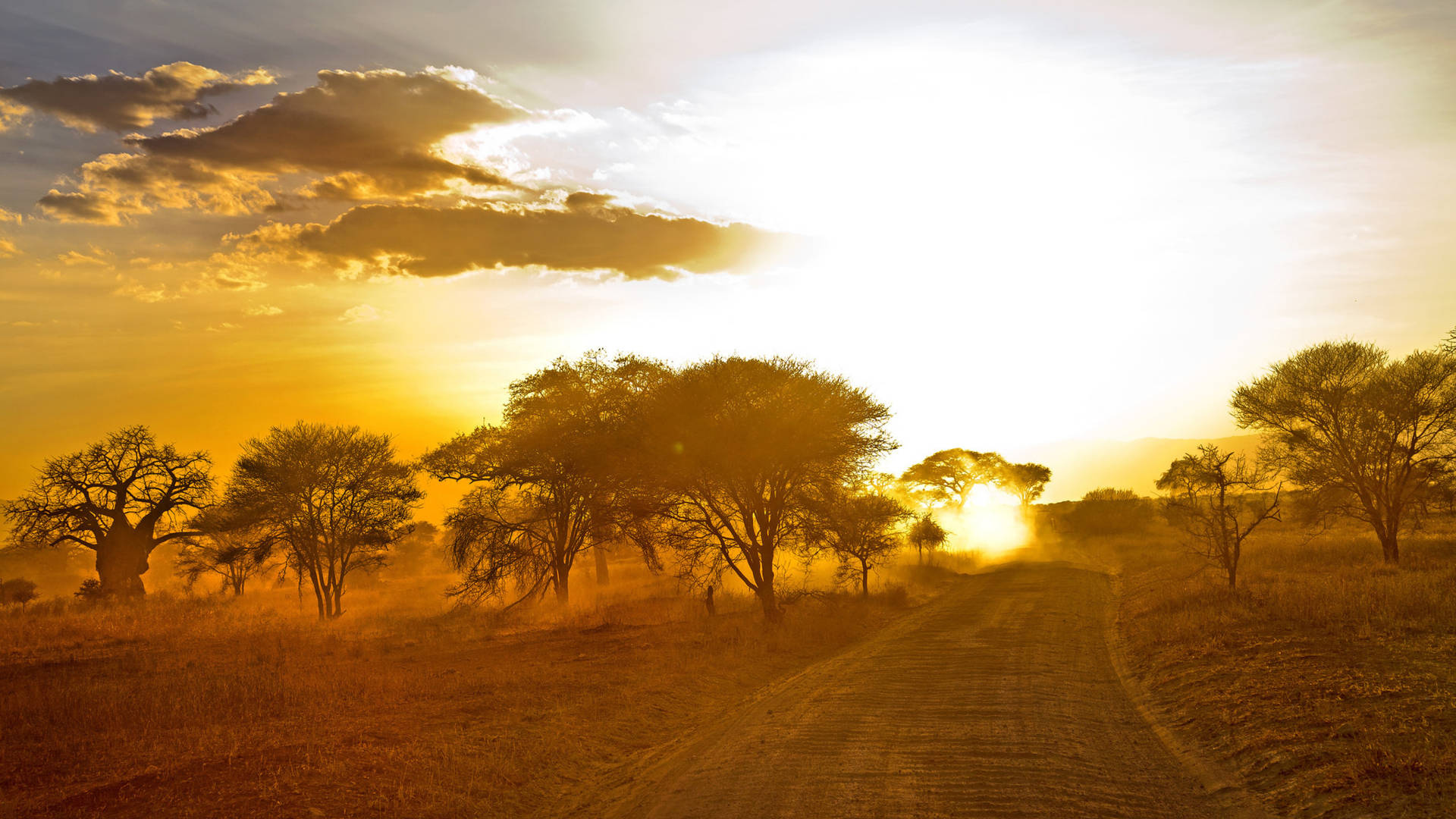Desert Road In Africa 4k